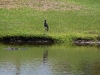 Picture01